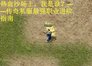 热血沙场上，我是谁？——传奇私服最强职业进阶指南