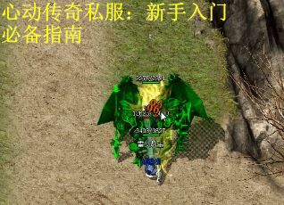 心动传奇私服：新手入门必备指南