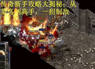 传奇新手攻略大揭秘：从菜鸟到高手，一招制敌