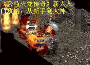 《公益火龙传奇》新人入门攻略：从新手到大神