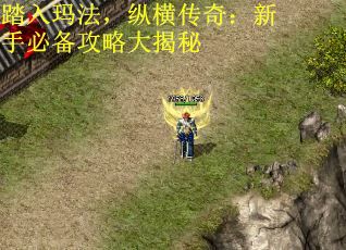 踏入玛法，纵横传奇：新手必备攻略大揭秘