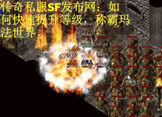 传奇私服SF发布网：如何快速提升等级，称霸玛法世界
