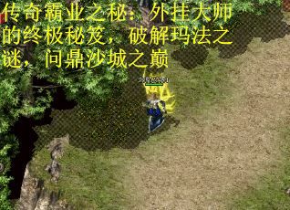 传奇霸业之秘：外挂大师的终极秘笈，破解玛法之谜，问鼎沙城之巅