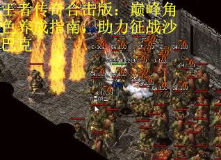 王者传奇合击版：巅峰角色养成指南，助力征战沙巴克