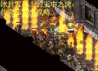 冰封雪原上的王中之虎：传奇东北虎攻略