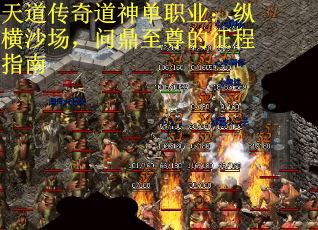 天道传奇道神单职业：纵横沙场，问鼎至尊的征程指南