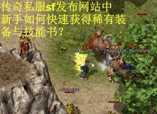传奇私服sf发布网站中新手如何快速获得稀有装备与技能书？