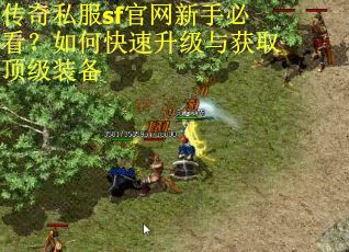传奇私服sf官网新手必看？如何快速升级与获取顶级装备