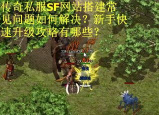 传奇私服SF网站搭建常见问题如何解决？新手快速升级攻略有哪些？