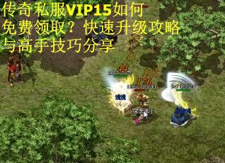 传奇私服VIP15如何免费领取？快速升级攻略与高手技巧分享
