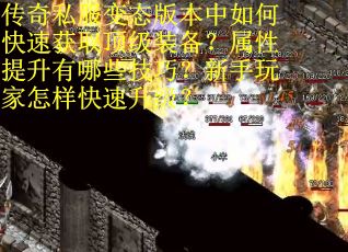 传奇私服变态版本中如何快速获取顶级装备？属性提升有哪些技巧？新手玩家怎样快速升级？
