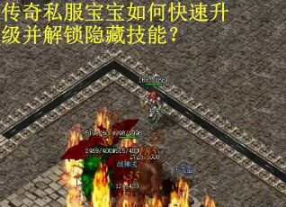 传奇私服宝宝如何快速升级并解锁隐藏技能？
