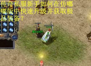 传奇私服新手如何在仿嘟嘟版中快速升级并获取极品装备？