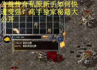 公益传奇私服新手如何快速变强?高手独家秘籍大公开 公益传奇私服新手如何快速变强?高手独家秘籍大公开