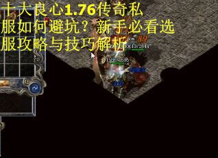 十大良心1.76传奇私服如何避坑？新手必看选服攻略与技巧解析