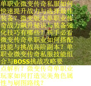 单职业微变传奇私服如何快速提升战力与选择最佳装备？微变版本单职业传奇战力飙升秘诀与装备强化技巧有哪些？新手必看微变传奇单职业如何搭配技能与挑战高阶副本？单职业微变传奇私服技能组合与BOSS挑战攻略要点解析？微变传奇单职业玩家如何打造完美角色属性与刷图路线？