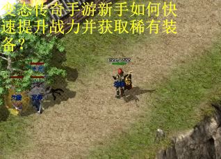 变态传奇手游新手如何快速提升战力并获取稀有装备？