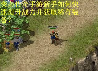 变态传奇手游新手如何快速提升战力并获取稀有装备？