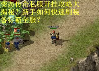 变态传奇私服开挂攻略大揭秘?新手如何快速刷装备称霸全服? 变态传奇私服开挂攻略大揭秘?新手如何快速刷装备称霸全服?