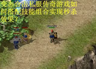 变态合击私服传奇游戏如何搭配技能组合实现秒杀效果? 变态合击私服传奇游戏如何搭配技能组合实现秒杀效果?