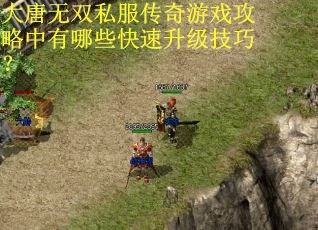 大唐无双私服传奇游戏攻略中有哪些快速升级技巧? 大唐无双私服传奇游戏攻略中有哪些快速升级技巧?