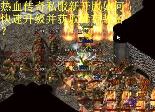 热血传奇私服新开服如何快速升级并获取稀有装备？