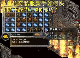 热血传奇私服新手如何快速提升战力与PK技巧？