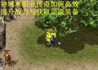 神域单职业传奇如何高效提升战力与获取顶级装备?