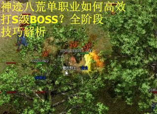 神迹八荒单职业如何高效打S级BOSS?全阶段技巧解析
