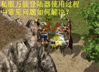 私服万能登陆器使用过程中常见问题如何解决？