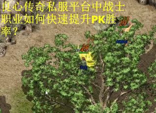 良心传奇私服平台中战士职业如何快速提升PK胜率?