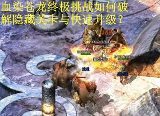 血染苍龙终极挑战如何破解隐藏关卡与快速升级?