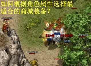 如何根据角色属性选择最适合的商城装备？