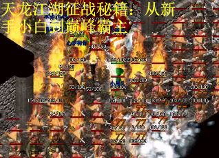 天龙江湖征战秘籍：从新手小白到巅峰霸主