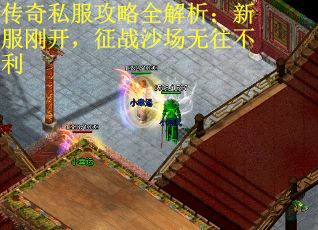 传奇私服攻略全解析：新服刚开，征战沙场无往不利