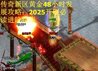 传奇新区黄金48小时发展攻略：2025开服必读进阶指南