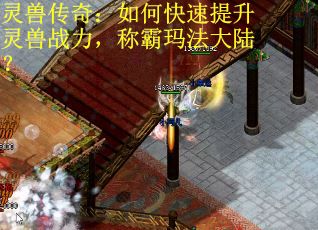灵兽传奇：如何快速提升灵兽战力，称霸玛法大陆？