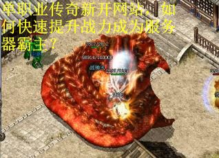 单职业传奇新开网站，如何快速提升战力成为服务器霸主？