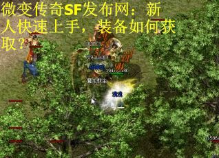 微变传奇SF发布网：新人快速上手，装备如何获取？