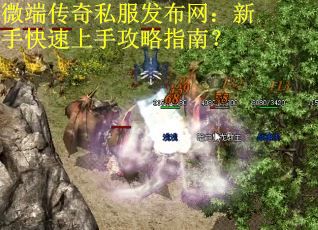 微端传奇私服发布网：新手快速上手攻略指南？