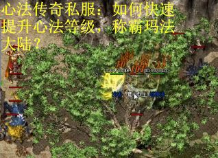 心法传奇私服：如何快速提升心法等级，称霸玛法大陆？