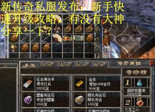 新传奇私服发布：新手快速升级攻略，有没有大神分享一下？