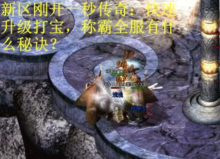 新区刚开一秒传奇：快速升级打宝，称霸全服有什么秘诀？