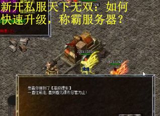 新开私服天下无双：如何快速升级，称霸服务器？
