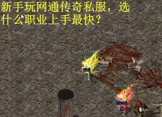 新手玩网通传奇私服，选什么职业上手最快？