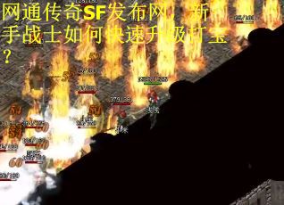 网通传奇SF发布网，新手战士如何快速升级打宝？