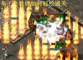 辛子奇教你如何轻松通关？