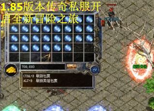 1.85版本传奇私服开启全新冒险之旅
