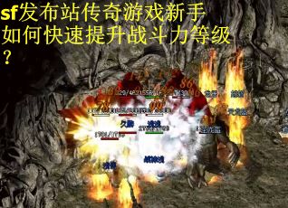 sf发布站传奇游戏新手如何快速提升战斗力等级？