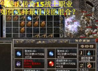 仿盛大传奇15战士职业如何选择最佳技能组合？